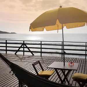 Hibisco , Florianópolis Brasilien